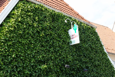 Casa Bilder August 2017 (8)